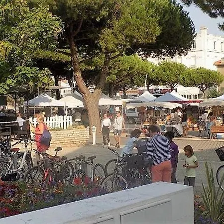 别墅 Palais Sur - Maison Mitoyenne - Cour Privee - Centre